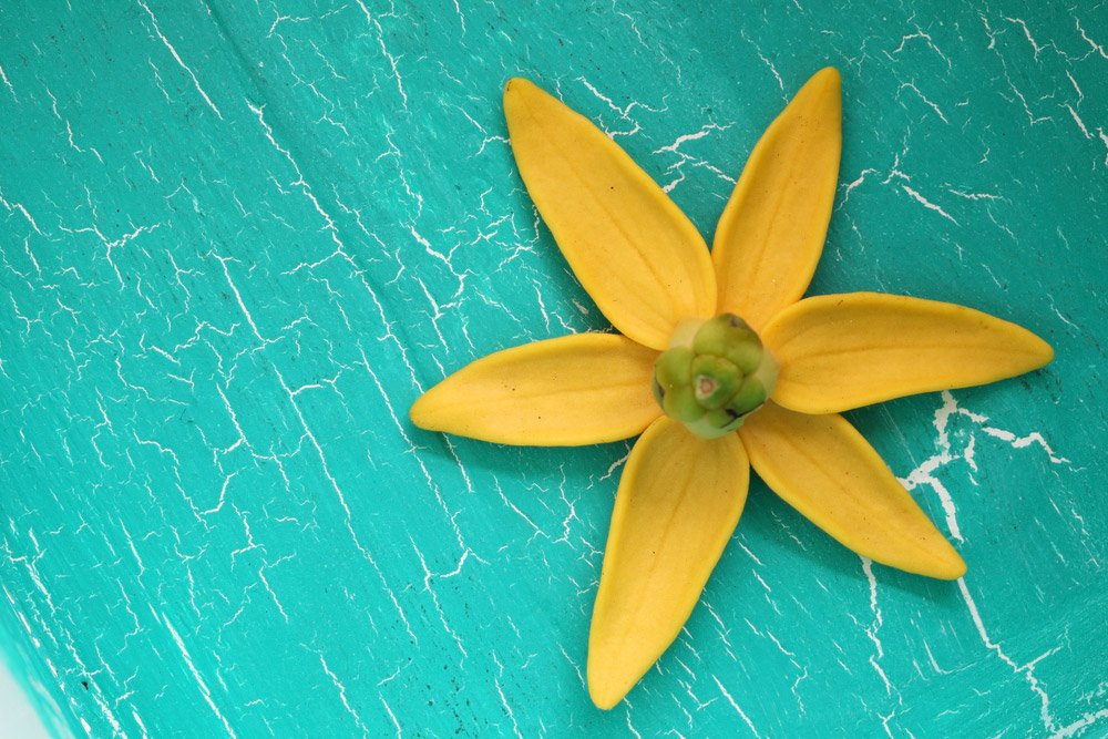 Organic Ylang Ylang Oil