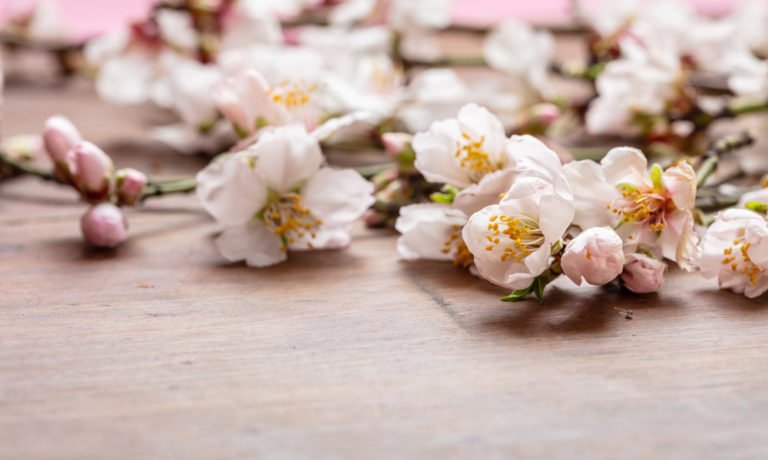 Organic Prunus Dulcis