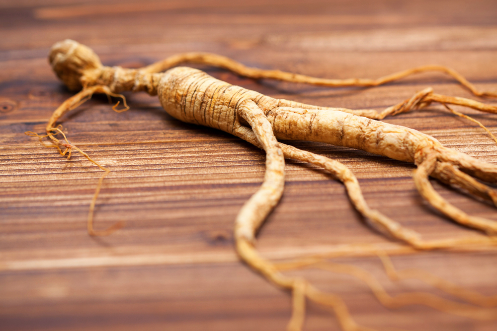 Organic Panax Ginseng