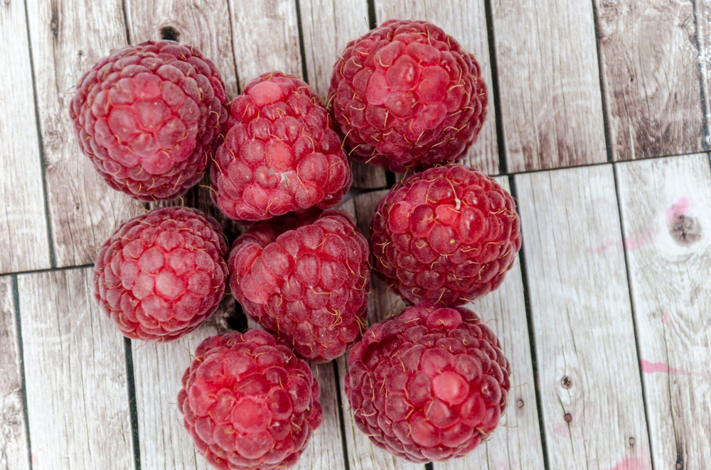 Organic Red Raspberry Leaf
