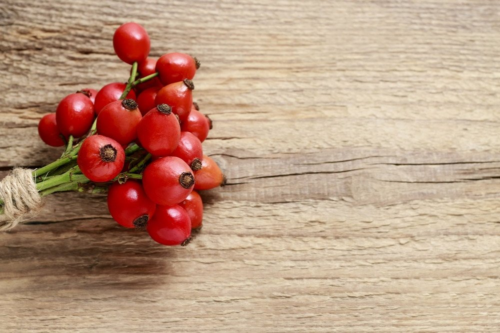 Organic Rosehip Seed Oil